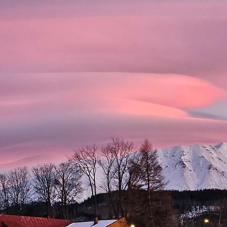 Вилла Heidi Закопане Экстерьер фото